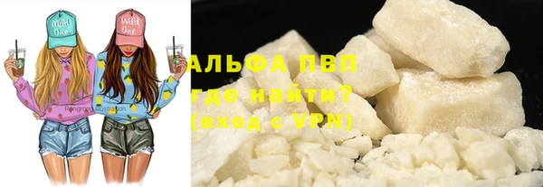 хмурый Абаза