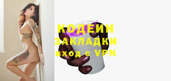 хмурый Абаза