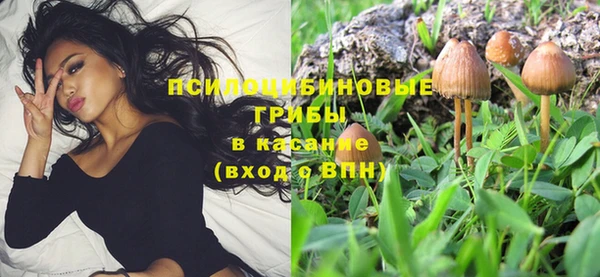 крисы Абинск