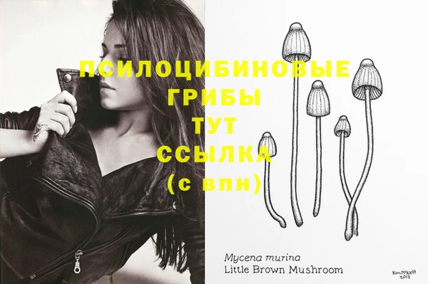 jwh Семилуки